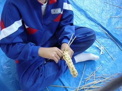 DSC08286.jpg
