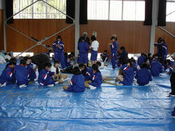 DSC08288.jpg