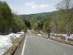 DSC08319.jpg