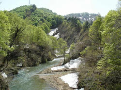 DSC08323.jpg