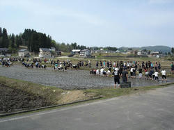 DSC08355.jpg