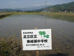 DSC08429.jpg