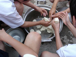 DSC08449.jpg