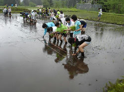 DSC08636.jpg