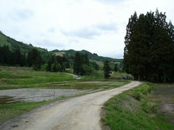 DSC08654.jpg