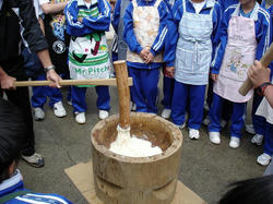 DSC08660.jpg