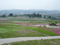 DSC08713.jpg