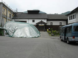 DSC08718.jpg