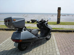 DSC08735.jpg