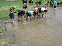 DSC08863.jpg