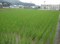 DSC08973.jpg