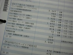 DSC08978.jpg