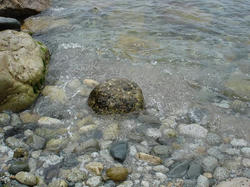 DSC09030.jpg