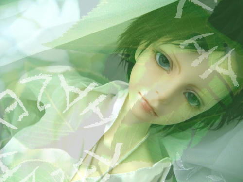 hazel02e.jpg