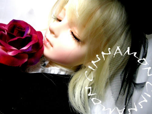 cinnamon01c.jpg