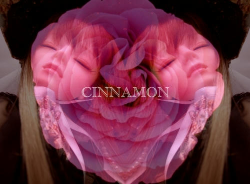 cinnamon04b.jpg
