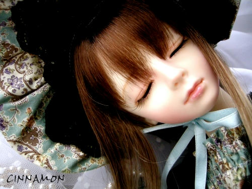 cinnamon04d.jpg