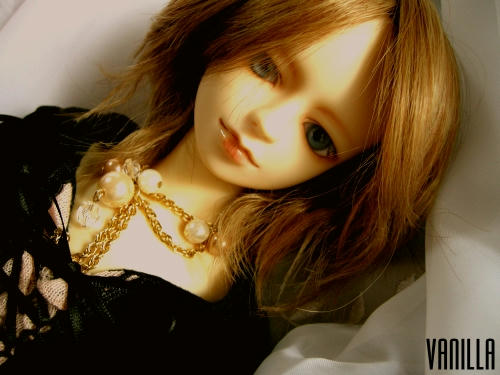 vanilla01g.jpg