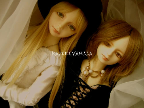 hv01c.jpg