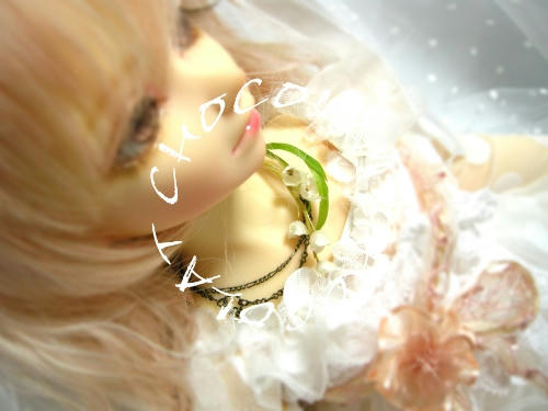 chocolat01f.jpg