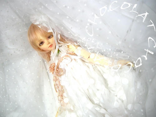 chocolat01e.jpg