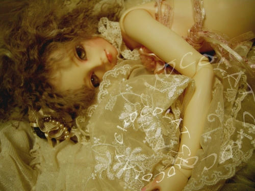 chocolat02a.jpg