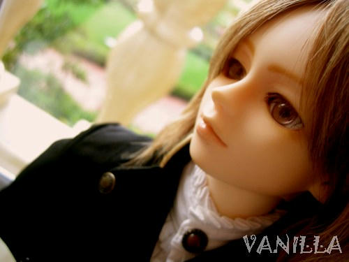 vanilla04f.jpg