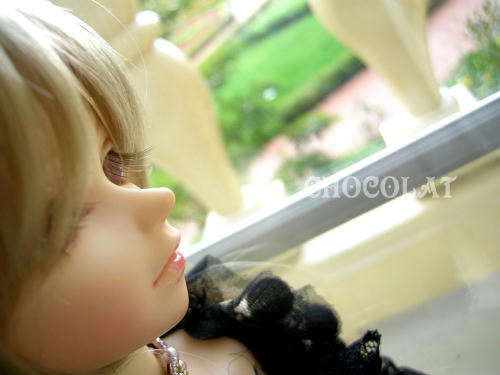 chocolat04g.jpg