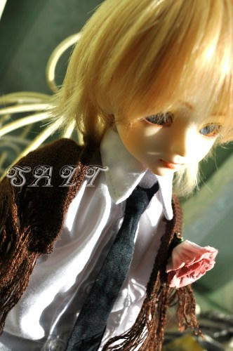 salt01g.jpg
