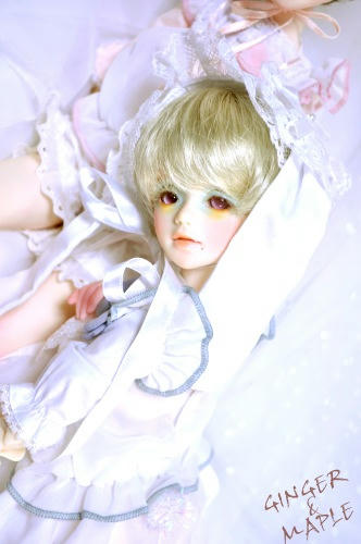 mapleginger02b.jpg