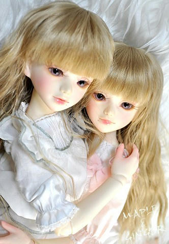 mapleginger03a.jpg
