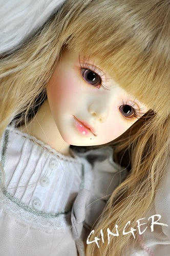 ginger02b.jpg