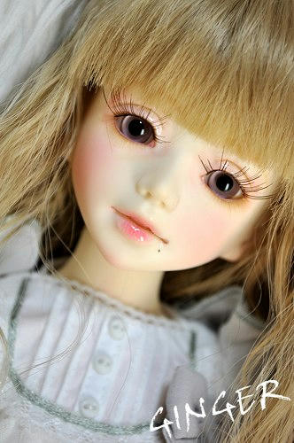 ginger02c.jpg