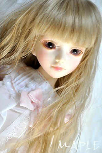 maple02a.jpg