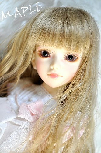 maple02b.jpg