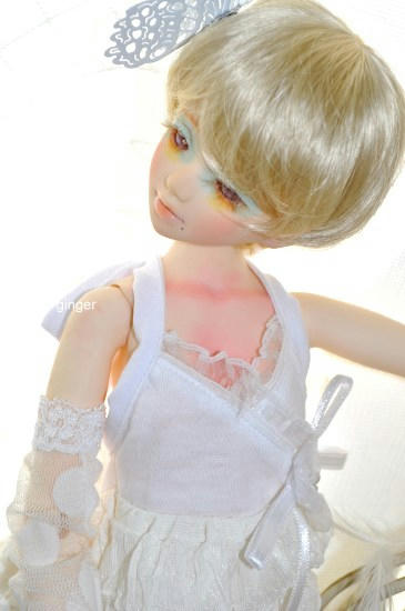 mapleginger04h.jpg