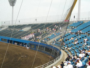 IMGP0329.JPG