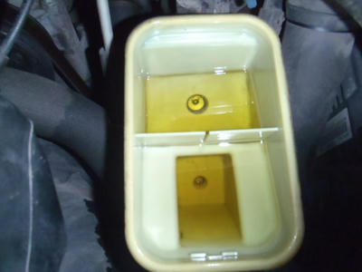 PA180034.JPG