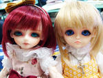 DSC03287.JPG