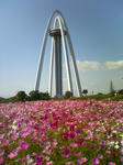 DSC00064.JPG