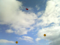 DSC00066.JPG