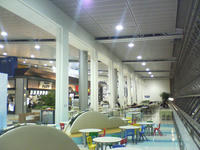 081106_02.jpg