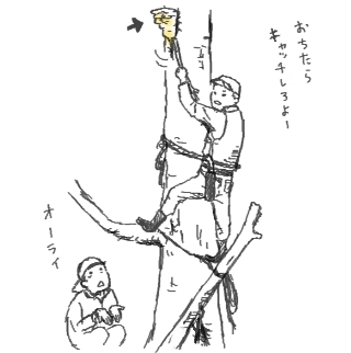 kinokocatch.png