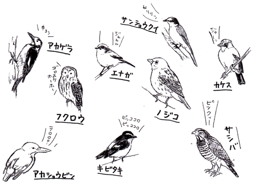torimonokuro.png
