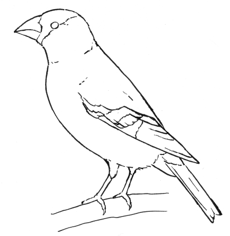 ikaru-l.png