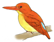 akasyoubin-c.png