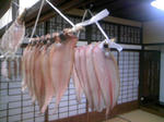 TS3C0119.JPG