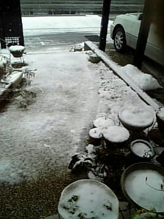 snow01.jpg