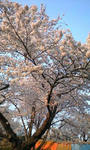080420_1735~0001.jpg