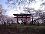 P1000006-0001.jpg